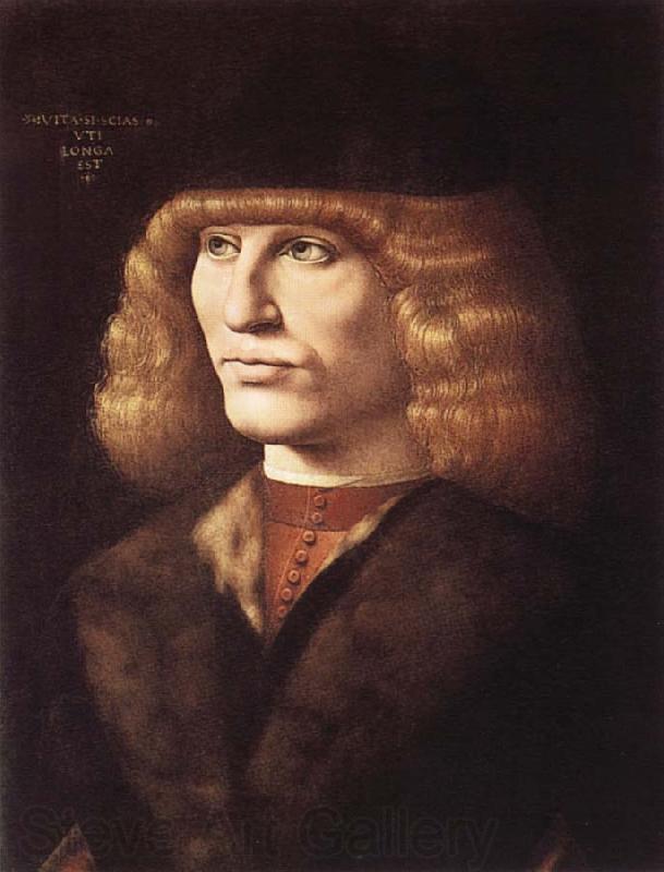 PREDIS, Ambrogio de Portrat of a young man Norge oil painting art